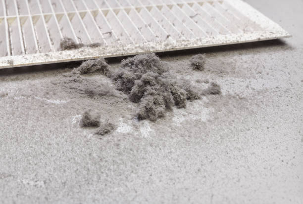 Best Best Air Duct Cleaning Company  in Prophetstown, IL