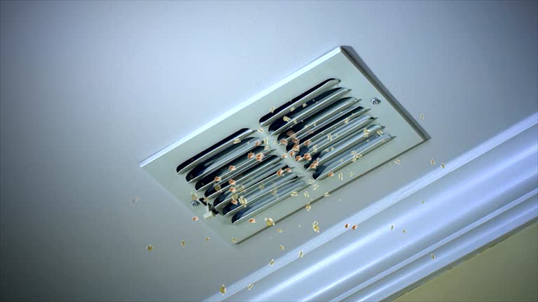 Best Professional Duct Cleaning Services  in Prophetstown, IL