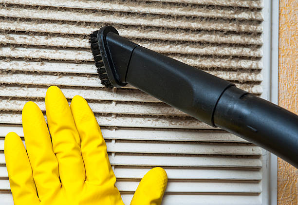 Best Dryer Vent Cleaning Services  in Prophetstown, IL